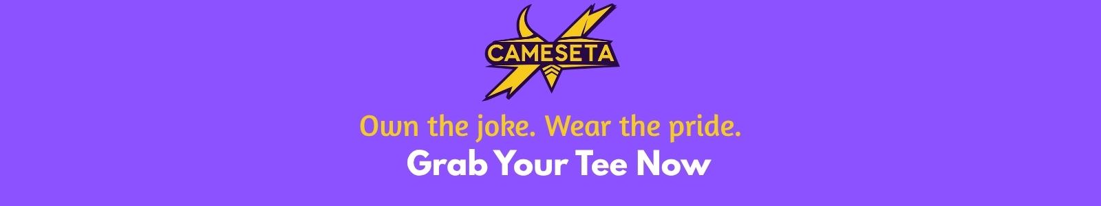 Banner for CAMESETA